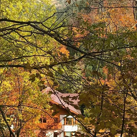 Апартаменты 16 Romantika Chopok Juh Тале