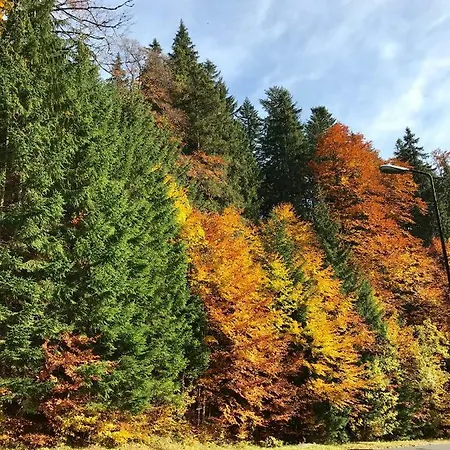 16 Romantika Chopok Juh Апартаменты *