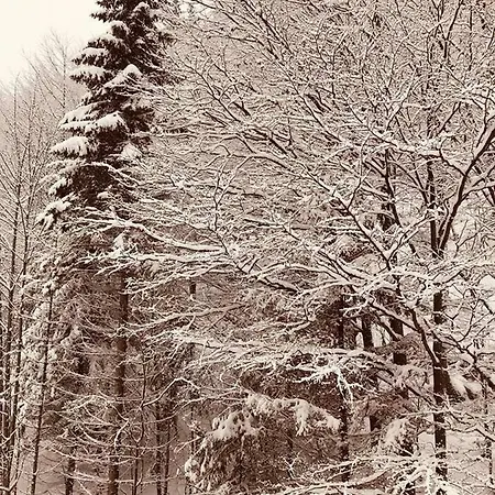 16 Romantika Chopok Juh Tale