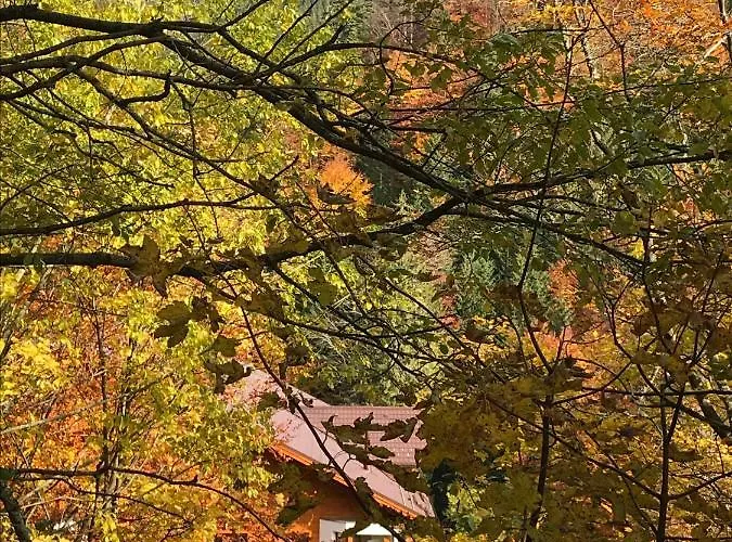 Apartment 16 Romantika Chopok Juh Tale