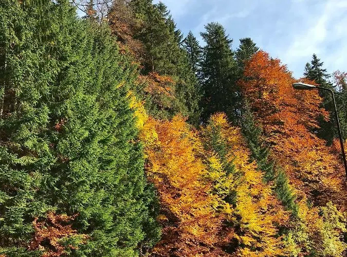 16 Romantika Chopok Juh Apartment *